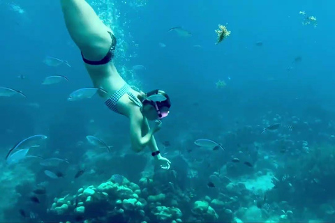 Private: Punta Cana Catalina Island Altos de Chavón Day Trip