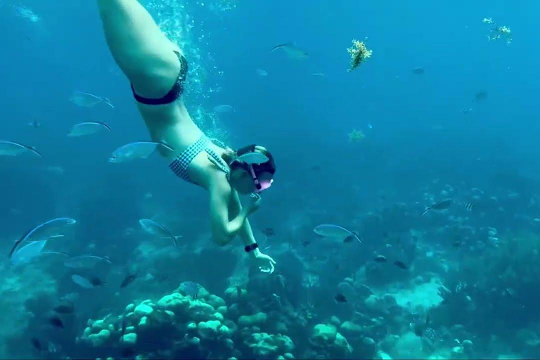 Private: Punta Cana Catalina Island Altos de Chavón Day Trip