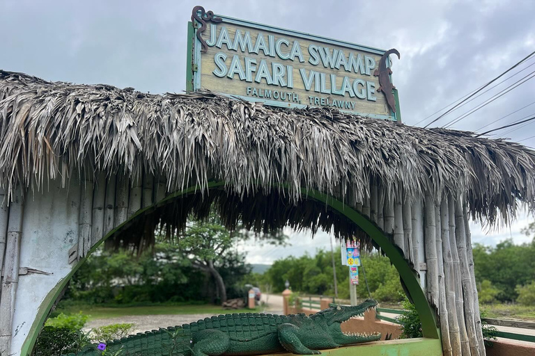 Excursión de un día al Safari por el Pantano y a la Gran Casa de Rose HallDesde Falmouth/ Trelawny