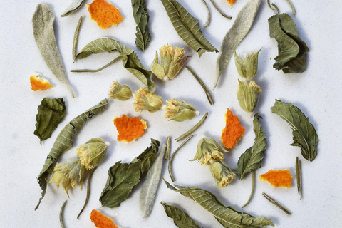 Thessalonique : saveurs de la Grèce DégustationThessalonique : dégustation de saveurs grecques