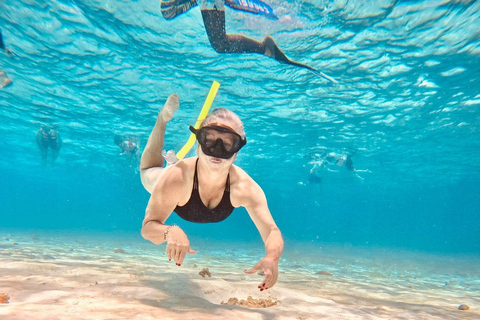 Playa del Carmen: On Board to Cozumel Tour with Lunch