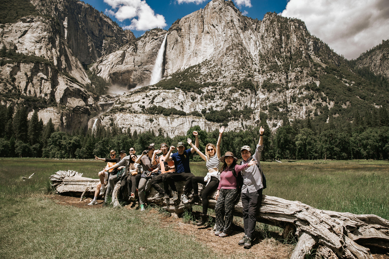 San Francisco: Yosemite National Park & Giant Sequoias Hike Shared Tour with French Audio Guide