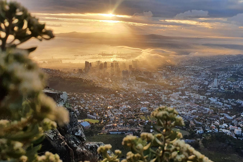 Cape Town: Guided Lion's Head Hike at Sunrise or Sunset Private Hike with Pickup from Selected Locations