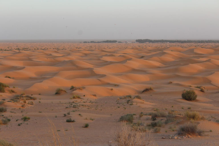 Tour de 1 día combinado por el desierto de Ksar Ghilane y Ksar Jouamaa