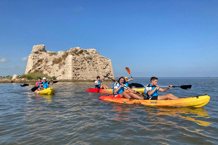 Kayak excursion through the Ebro Delta - 7 magical routes through the Delta Kayak tour of the Ebro Delta - 7 magical routes through the Delta