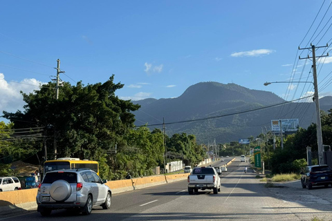 Puerto Plata: El Gallo Ecolodge Day Pass with Lunch