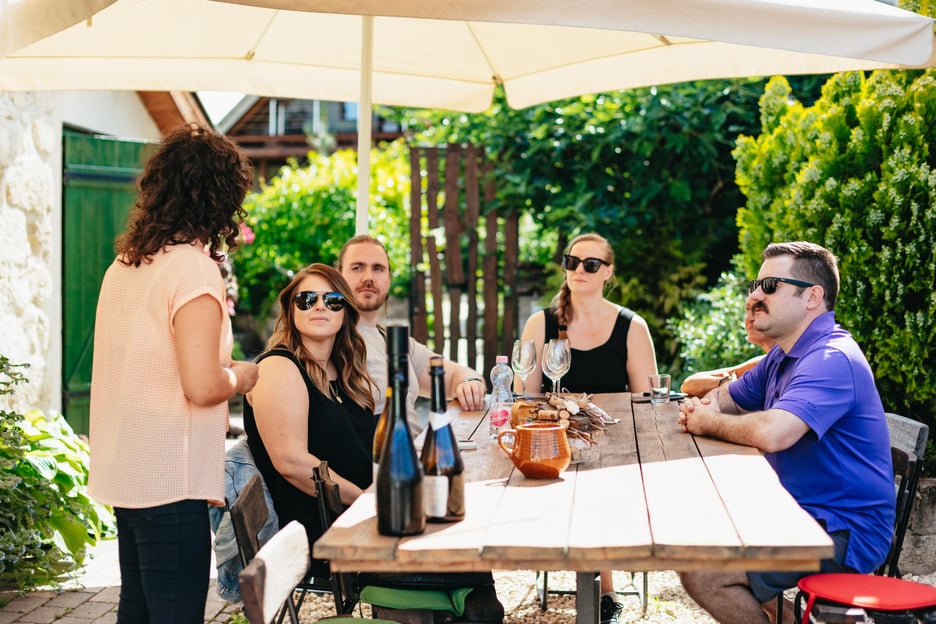 Desde Budapest: tour de medio día por el campo con comida
