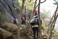 8 Days 7 Nights, Round-trip of Korea, from Seoul to Seoul - Housity