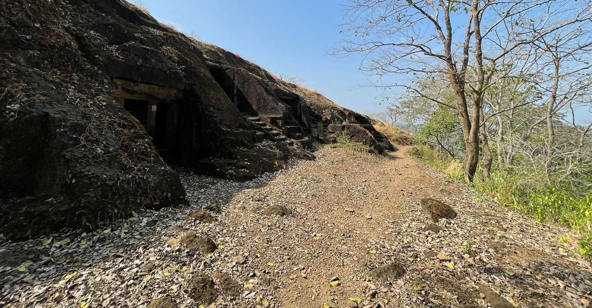 Sanjay Gandhi Nationalpark + Kenheri Höhlen + Löwen-Safari - Hizvo