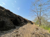 Sanjay Gandhi National Park + Kanheri Caves + Lion Safari - Housity