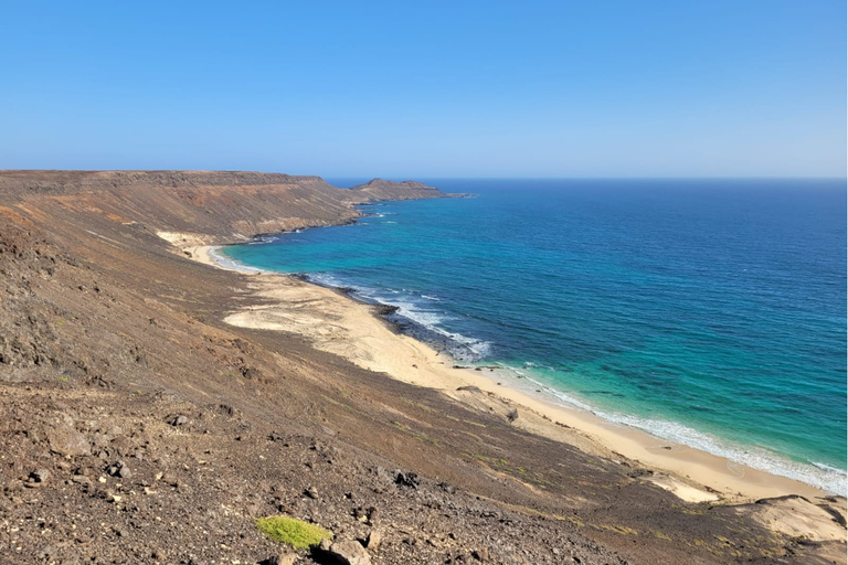 Sal Island Turtle Watch Tour w naturalnym środowisku