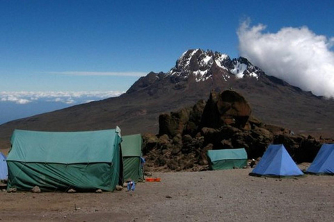 Kilimanjaro: 6-Day Marangu Route Climbing Tour
