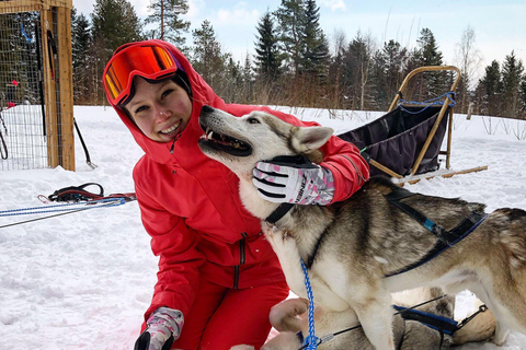 Rovaniemi: Aldeia do Pai Natal + Passeio de trenó puxado por huskies e renas