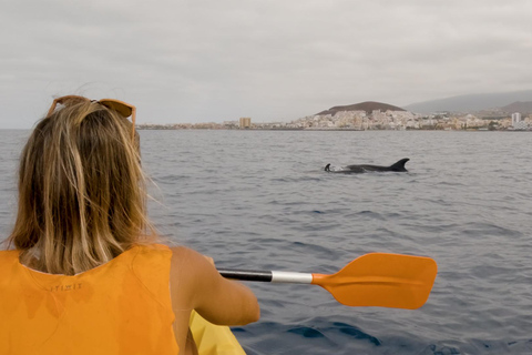 Tenerife: Kayak & Snorkeling Tour - Small Groups