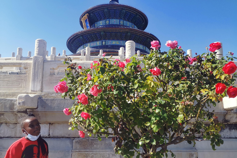 T-Square, Forbidden City, Temple of Heaven and Summer Palace Guide+DiDi Taxi + No lunch