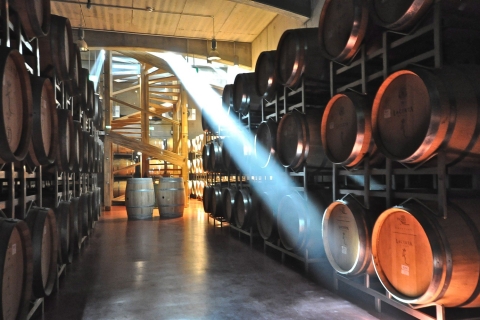 Dealu Mare wijnmakerijen: wijnproeverij op de oude wijnroute
