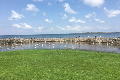 Entebbe: Lake Victoria Boat Trip and Buwaya Village Tour