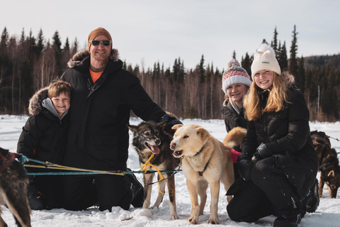 Fairbanks: Private Mush on the Historic Yukon Quest Trail