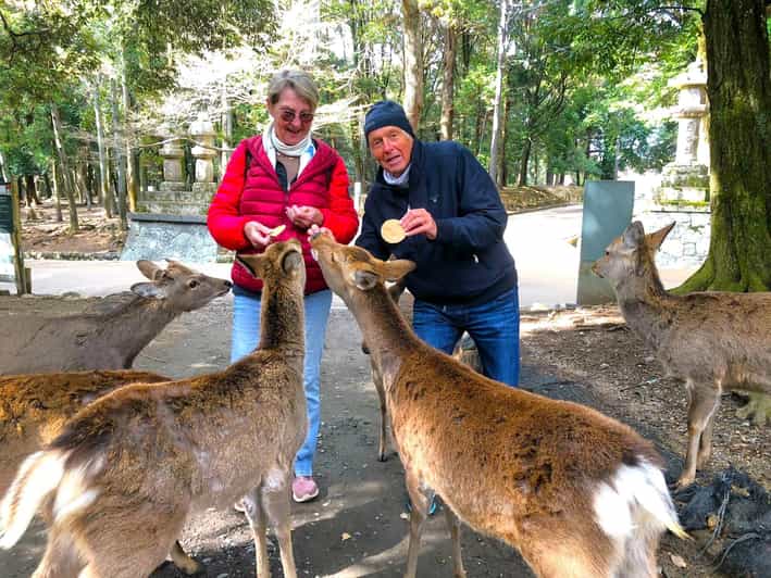 Nara: Great Buddha, Kasuga Shrine & Deer Park Tour