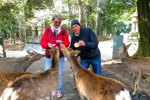 Nara: 3-Hour Guided Tour with Deer, Great Buddha & Shrines