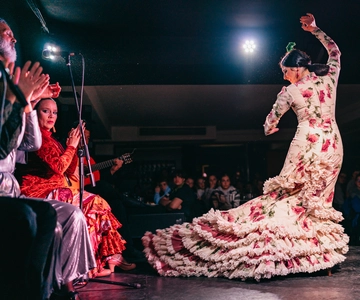Madrid: Flamenco Show at Tablao Las Carboneras