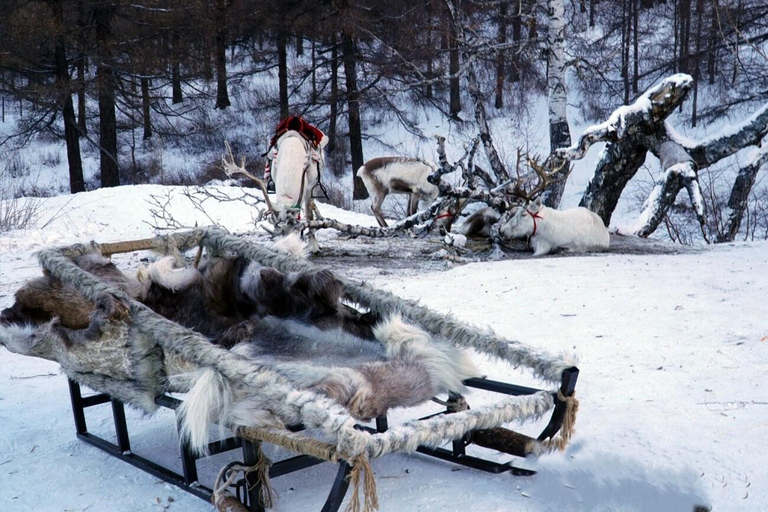 Khuvsgul Lake & Tsaatan Reindeer Herders Tour