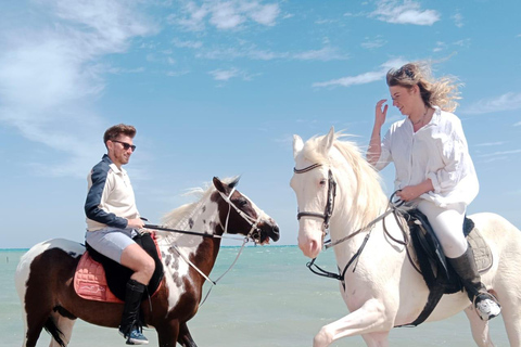 الغردقة: جولة ركوب الخيل في الصحراء والبحر مع خيار السباحةجولة لمدة ساعتين لركوب الخيل بدون السباح