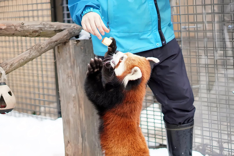Asahiyama Adventure: Zoo+Waterfalls & Blue Pond Day Tour Meet at Exit 31 of Odori Park Subway Station