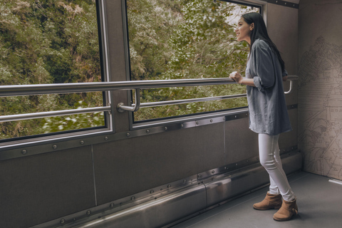 Von Cusco aus: Machu Picchu EintagestourEin-Tages-Tour nach Machu Picchu von Cusco aus, Vistadome Zug