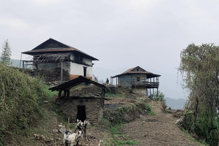 From Kathmandu: Nepali Village Trip with Cooking Class