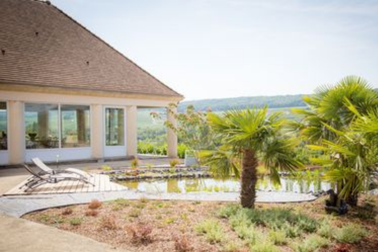 Domaine Bacchus: miniature vineyard & Champagne tasting