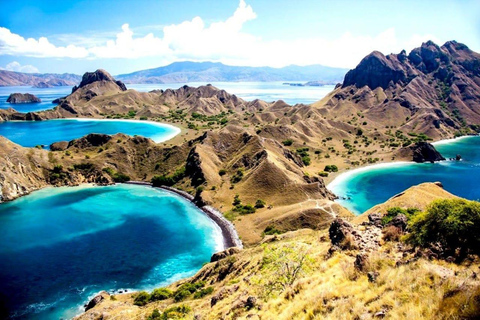 Da Bali: Tour dell&#039;Isola di Komodo di 2 giorni e 1 notte con volo