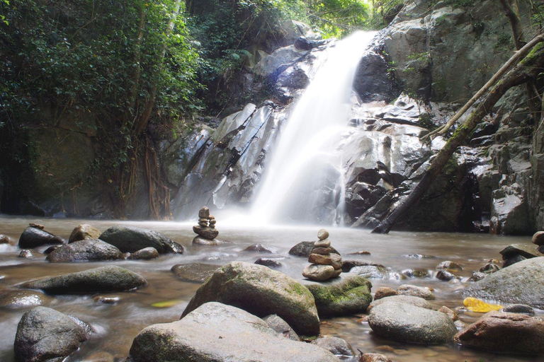 Chiang Mai: Cuevas de Chiang Dao y excursión por la selva con almuerzo