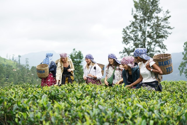 Sri Lanka: 13-Day Private Tour, Live Like a Local