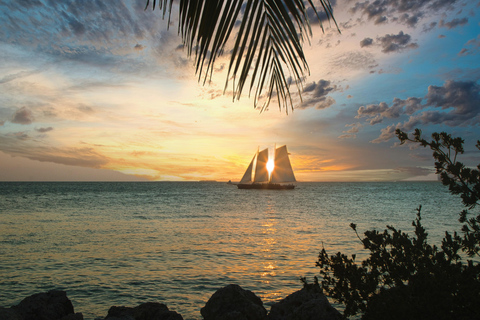 Vanuit Miami: Dagtrip Key West met uitleg