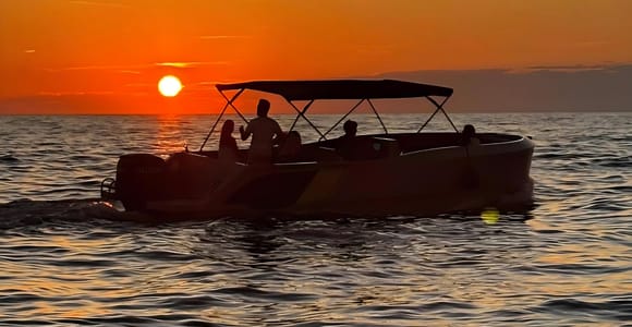Rovinj: Kleingruppenausflug – Delfinbeobachtung – Sonnenuntergang – Ausblick auf die Altstadt