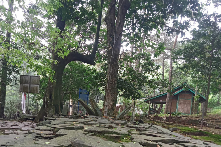 Bogor Botanical Garden and Domas Megalithic Site Tour