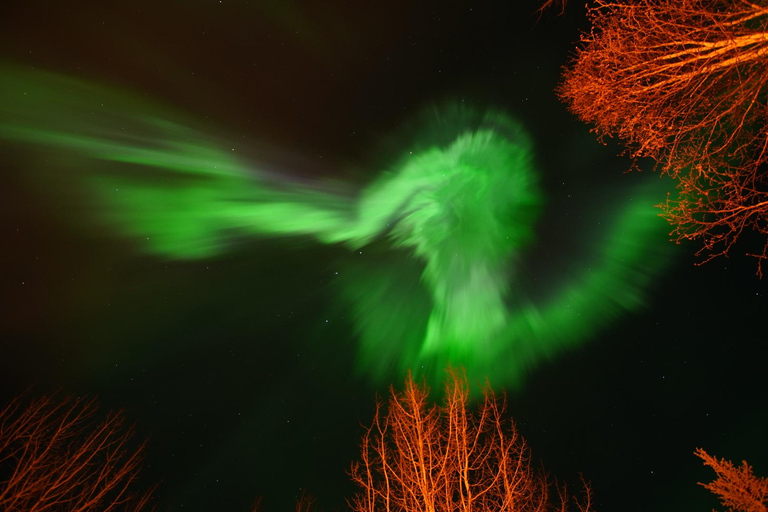Fairbanks: Aurora Borealis Night Sky Tour & Photography