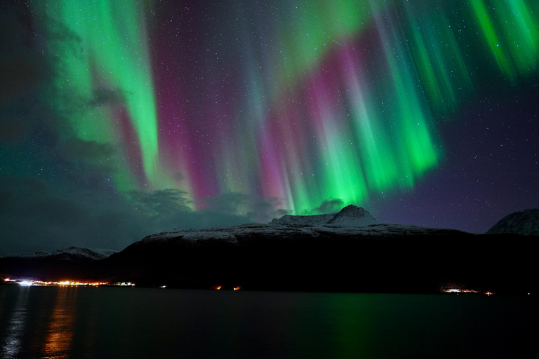 Tromsø : Visite guidée des aurores boréales avec un guide régional