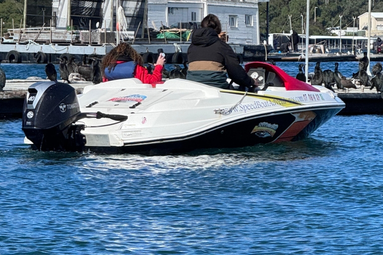 San Diego: Drive Your Own Speed Boat 2-Hour Tour Boat for 1 Passenger