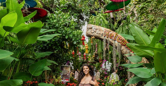 Chiang Mai: Chiang Rai Temples Day Trip with Lalita Cafe