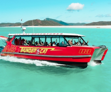 Airlie Beach: Whitehaven Full-Day Eco-Cruise with Buffet