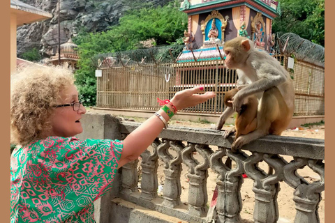 Excursión a Abhaneri y Templo de los Monos desde Jaipur