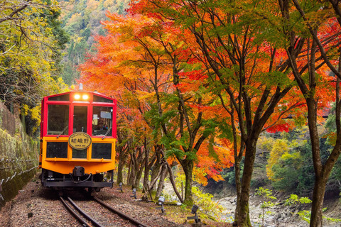 Kyoto Sagano Romantic Train in Arashiyama Bus Tour Half Day Plan