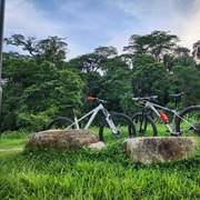 Singapore: Bicycle Rental with Delivery