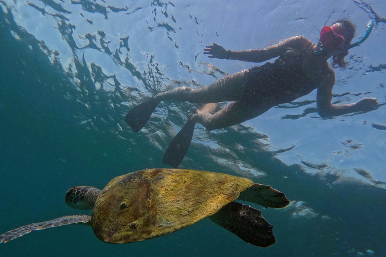 Dubai: snorkeltrip van een hele dag in Fujairah met barbecuelunch