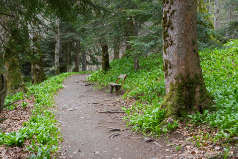 Kotor: Dagsutflykt och båtresa till Skadarsjön och BiogradFrom Herceg Novi