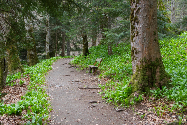 Kotor: Dagsutflykt och båtresa till Skadarsjön och BiogradFrom Herceg Novi