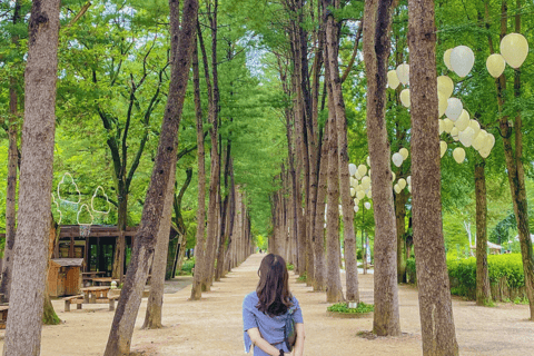 Seul: The Painter Show z Nami Island lub Alpaca WorldWycieczka grupowa Nami, spotkajmy się w Myeongdong