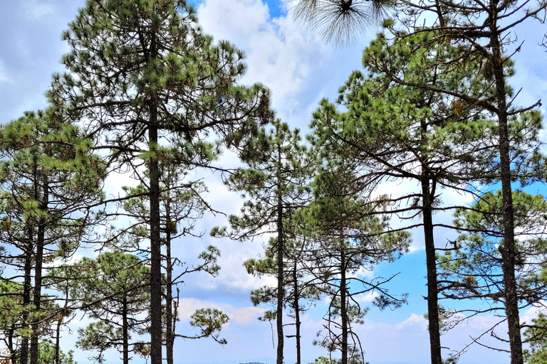 Oaxaca: Sierra Norte Ixtepeji Guided Hike & Lunch, Half-Day